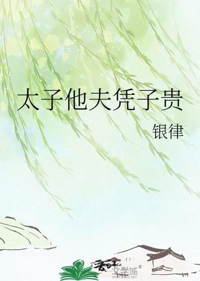 太子他夫凭子贵银律笔趣阁最新