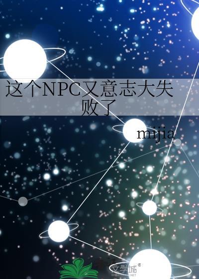 这个npc有问题