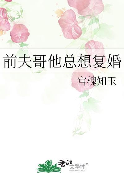 前夫哥他总想复婚作者宫槐知玉