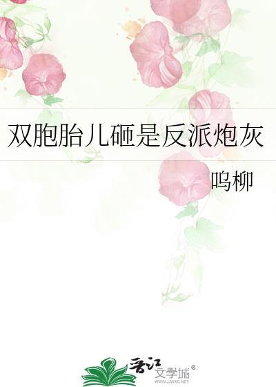 双胞胎双胞胎