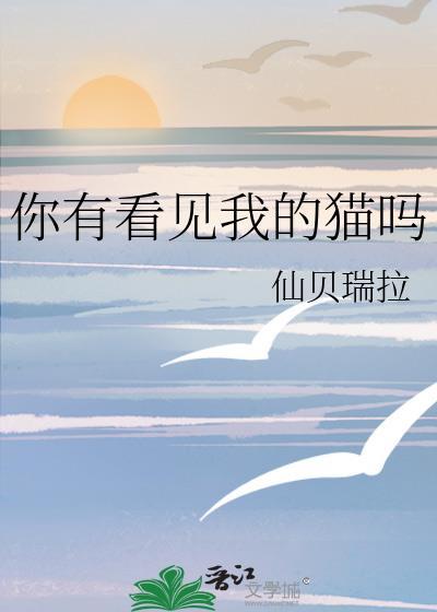 你有看见我的猫吗百度