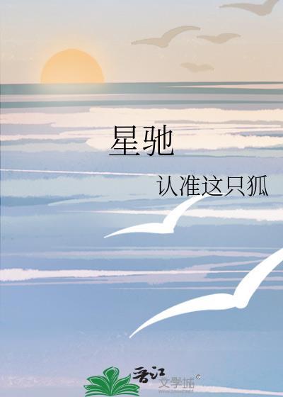 星驰文化传媒有限公司