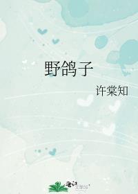 野鸽子又叫什么名字