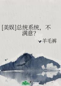 美娱总统系统不满意txt