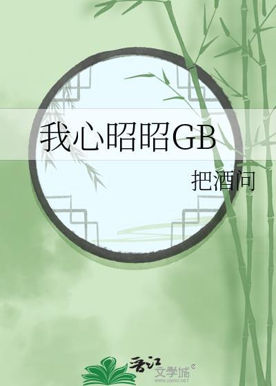 我心昭昭向明月无弹窗
