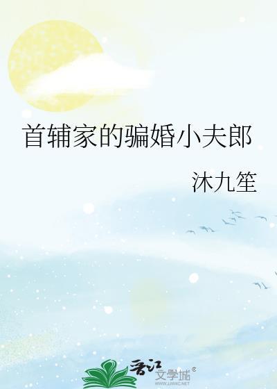 首辅家的小夫郎女尊格格党