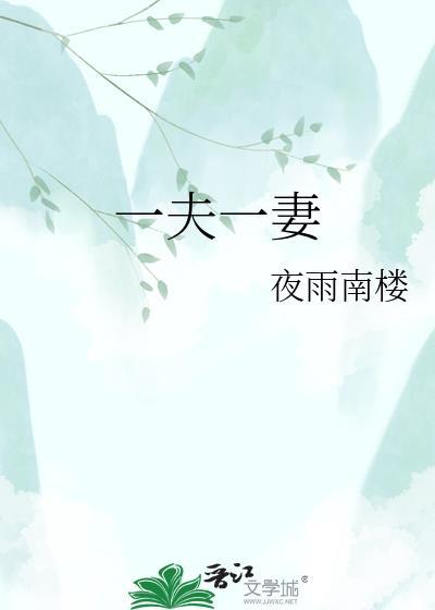 一夫一妻制有哪些国家
