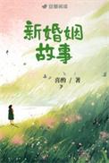 新婚姻故事喜酌免费阅读