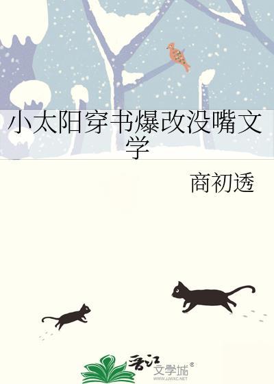 小太阳人设的男主