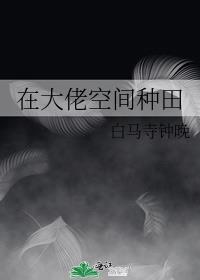 在大佬雷区