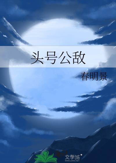 头号公敌 mp4