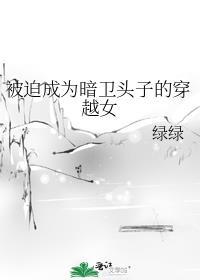 被迫成为暗卫头子的穿越女男主