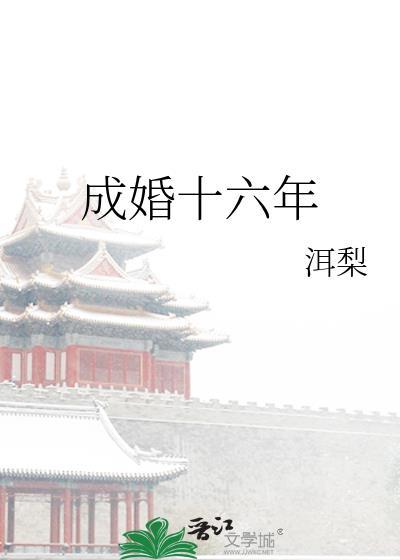 成婚十六年TXT