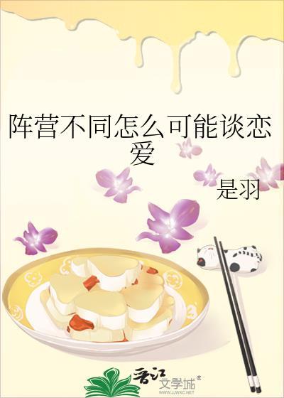 阵营啥意思
