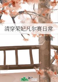 清穿之荣妃日