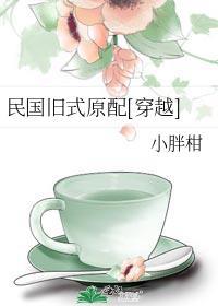 重生民国旧式妻子