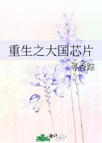 重生之中国芯片