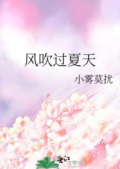 风吹过夏天歌词完整版