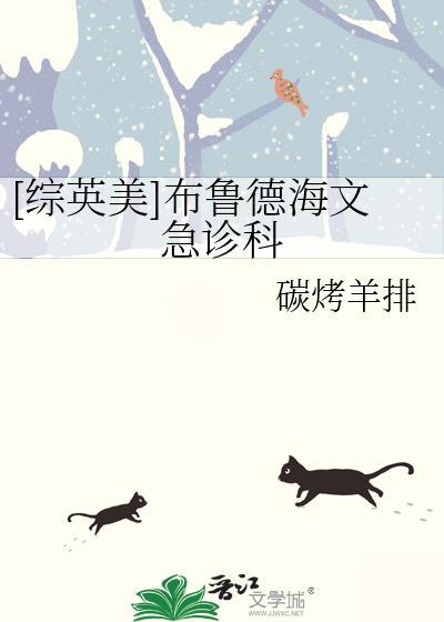 综英美布鲁德海文急诊科txt