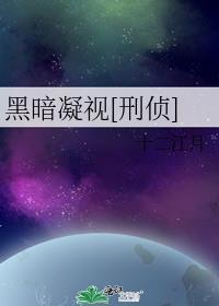 凝视黑夜 电视剧结局
