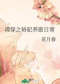 清穿之妃子