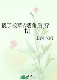 撬了是什么意思