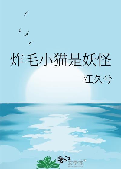 炸毛的小猫咪