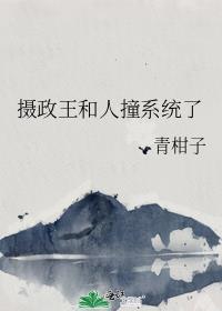 摄政王和人撞系统了by青
