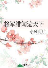 将军绯闻遍天下by小风扶月 免费阅读