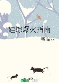 娃综爆火指南by