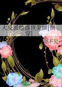 反派他盛世美颜简介