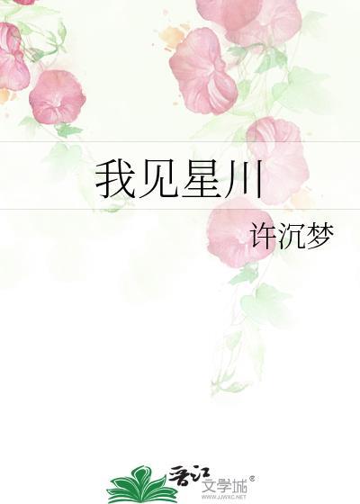我见星光入怀全文免费阅读