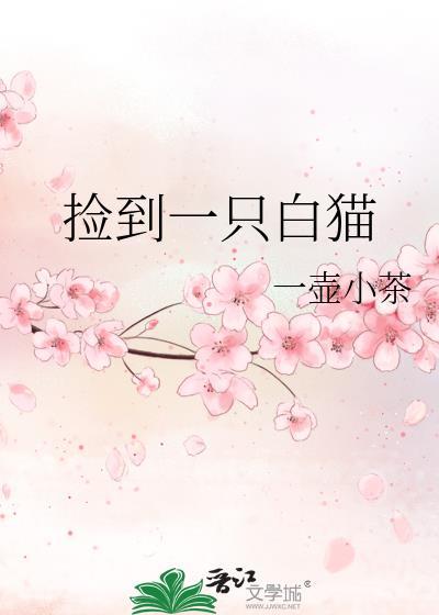 捡到小白猫