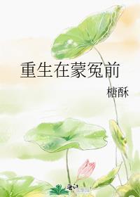 重生在蒙冤前by糖酥