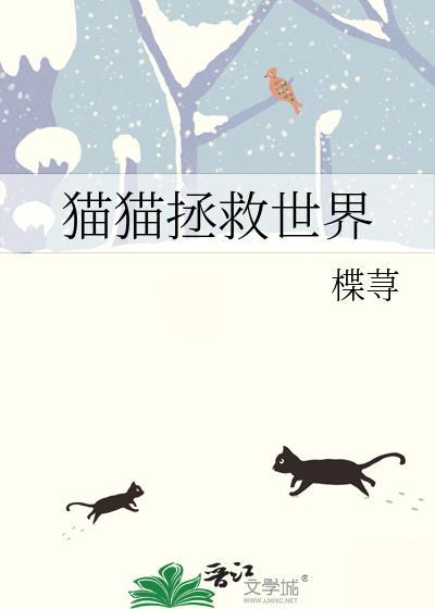 猫猫拯救世界这个博主的账号