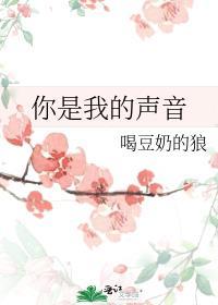 你是我的声音歌词