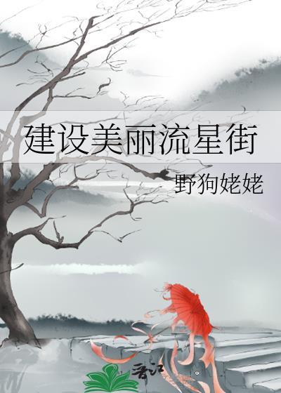 猎人同人建设美丽流星街