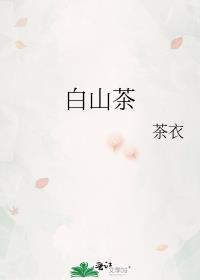 白山茶吉他谱