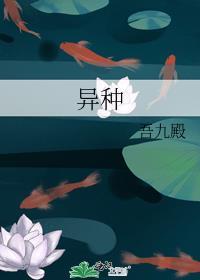 异种钢用什么焊条