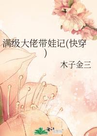 满级大佬带娃记(快穿)作者木子金三格格党