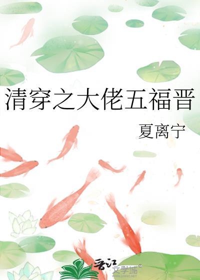 清穿之大福晋格格党