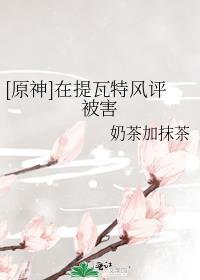 原神提瓦特游览指南有哪些地方