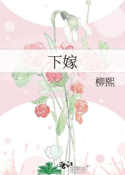下嫁柳林家