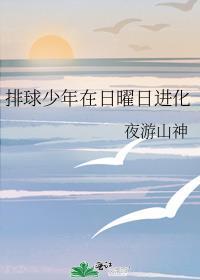 排球少年在日曜日进化百度