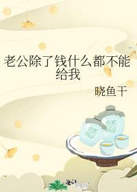 老公除了钱什么都不能给我全文阅读