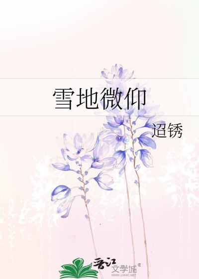 雪地的视频