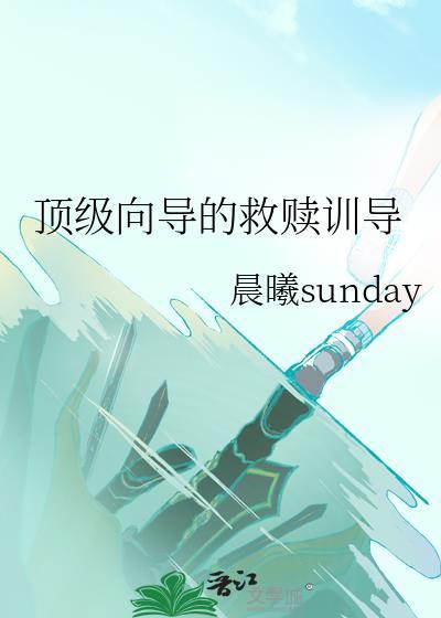顶级向导的救赎训导晨曦