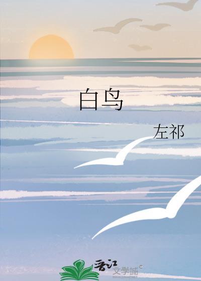 白鸟忘机