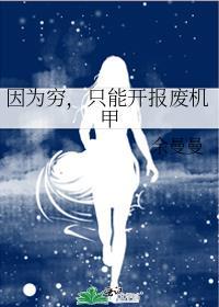 只能开报废机甲的车
