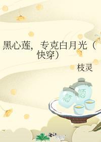 黑心莲攻 文